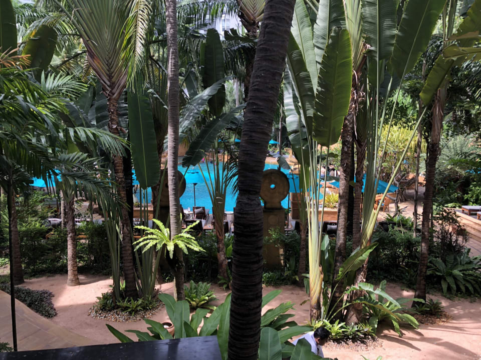 Gartenanlage Avani Pattaya Resort