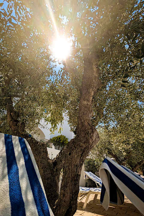 Pool Diar Lemdina Hotel