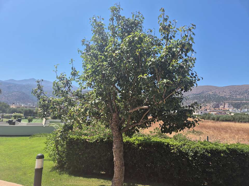 Außenansicht VONRESORT Golden Coast