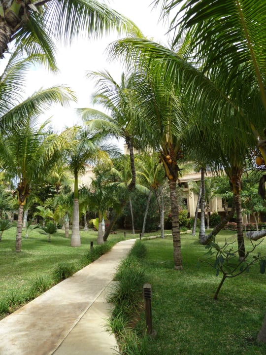 Mitten in der Anlage Mauricia Beachcomber Resort & Spa