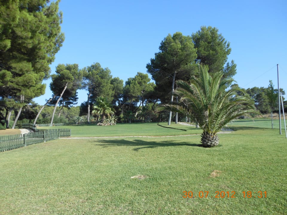 Der Garten hinter dem Hotel. Hotel Exagon Park