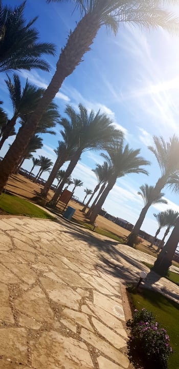 Gartenanlage Casa Mare Resort