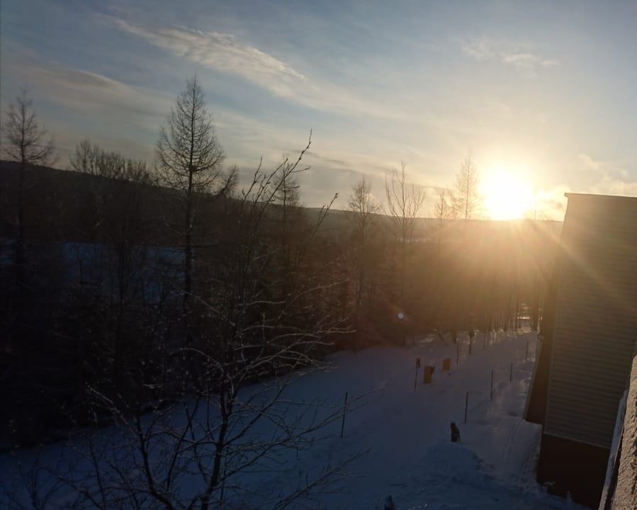 Ausblick AHORN Waldhotel Altenberg