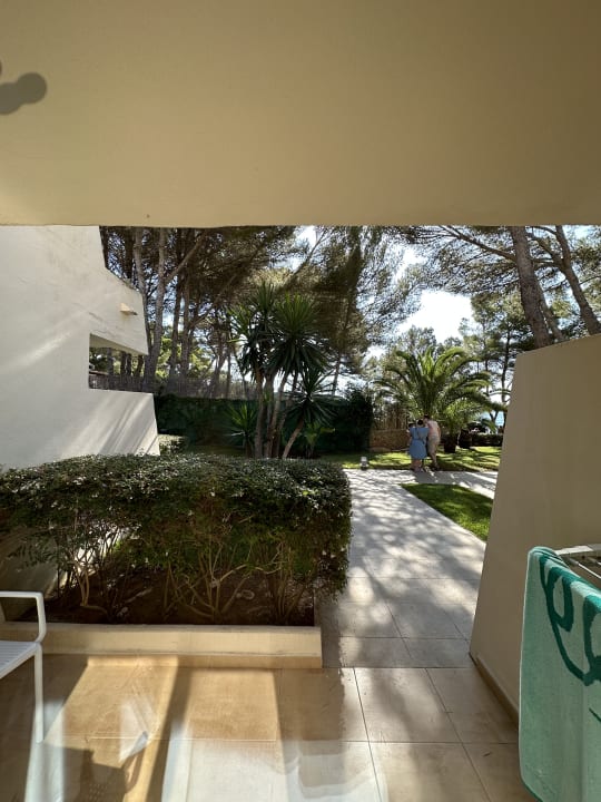 Gartenanlage Iberostar Waves Pinos Park