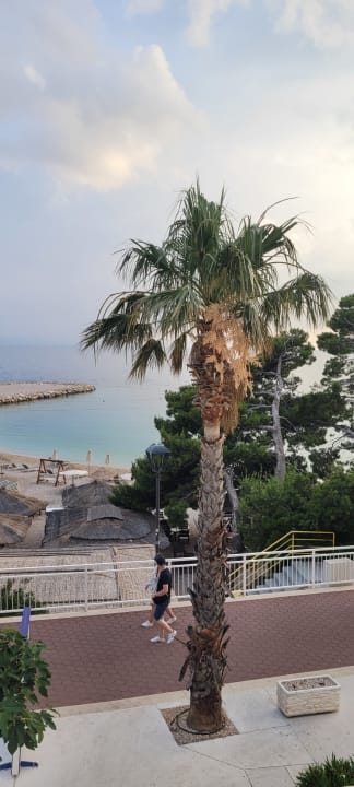 Ausblick Aminess Laurel Khalani Hotel