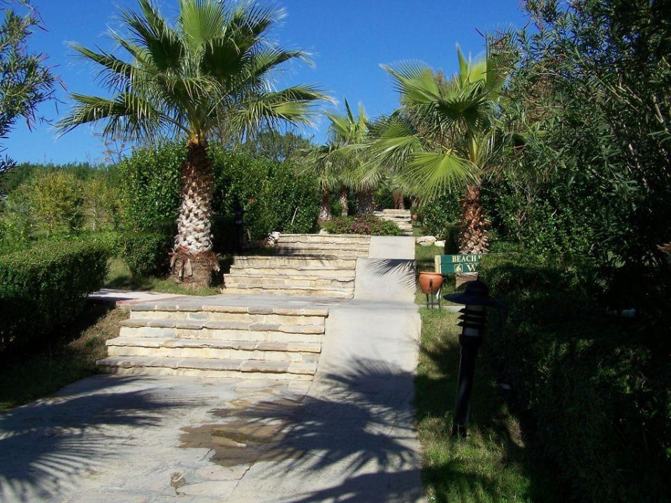 Weg vom Pool zum Meer Alba Resort Hotel