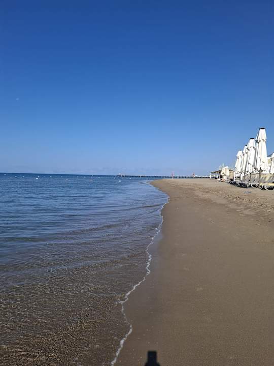 Strand Papillon Belvil