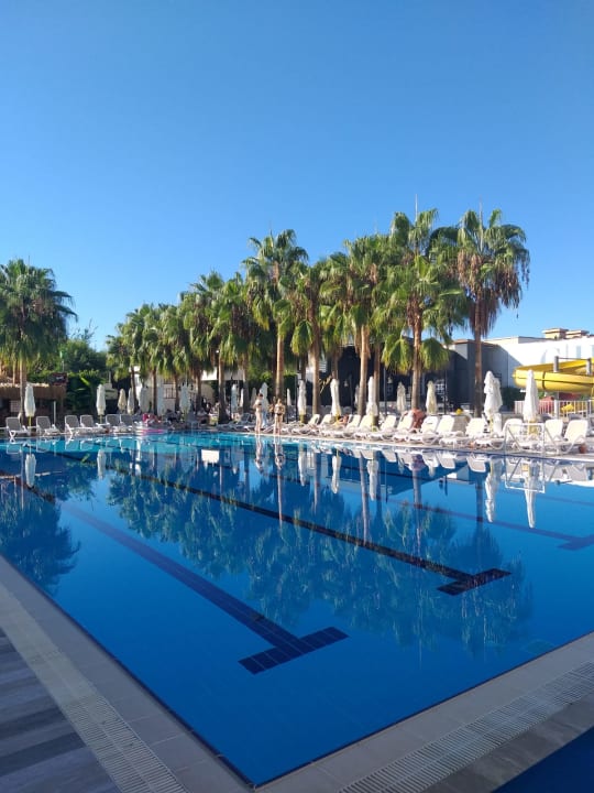 Pool Castival Hotel
