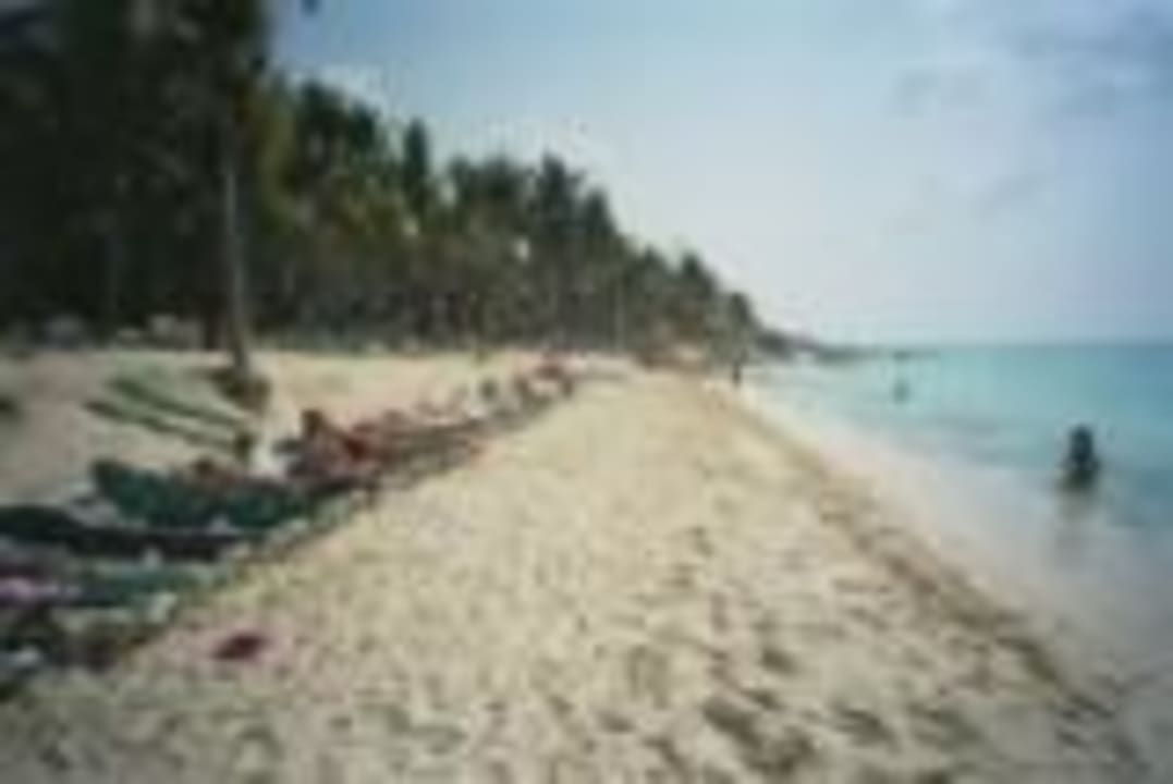 Der Strand kommt wieder! Hotel Riu Tequila