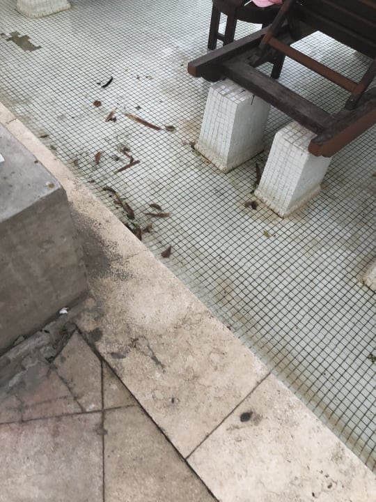 Pool Ghazala Gardens