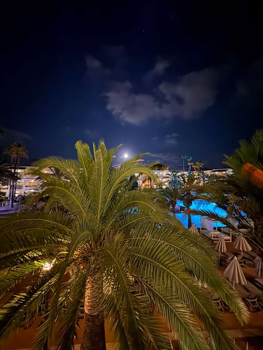 Ausblick Calimera Fido Gardens