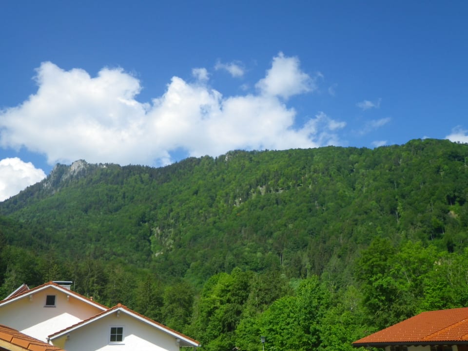 Ausblick Privatpension Thaller