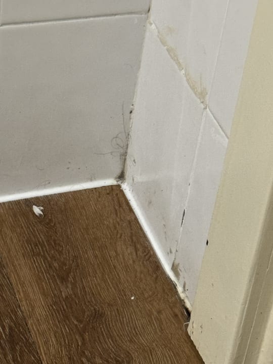 Zimmer H10 Tenerife Playa