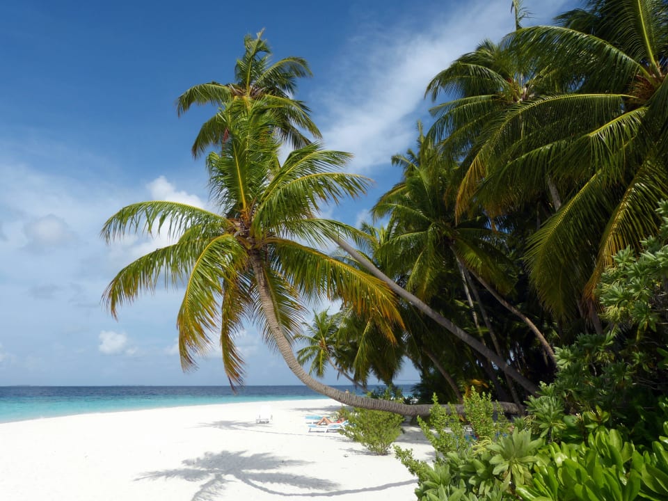 Traumstrand Fihalhohi Maldives