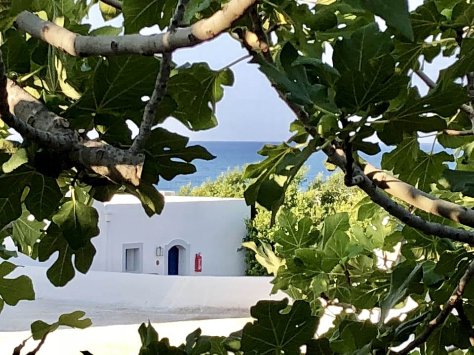 Ausblick Creta Maris Resort