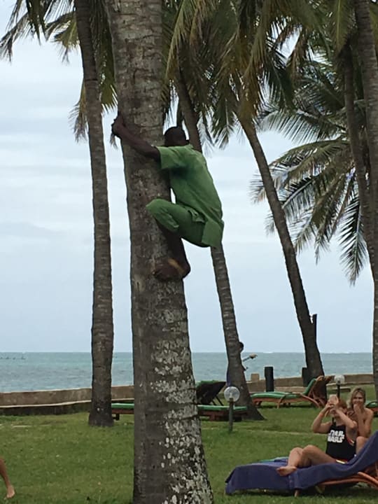 Gartenanlage Neptune Palm Beach Boutique Resort & Spa