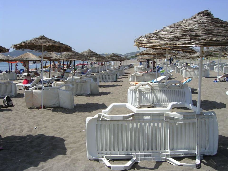 Kein Liegenstress im Mai Hotel Calypso Beach