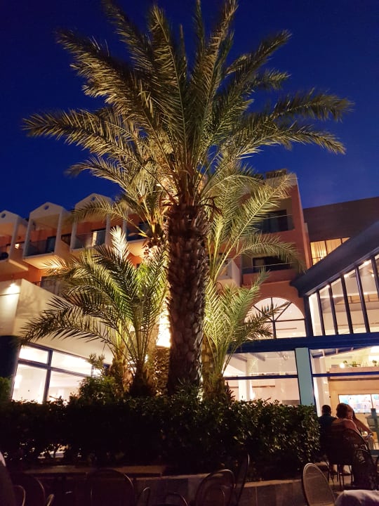 Gartenanlage Kresten Palace Hotel