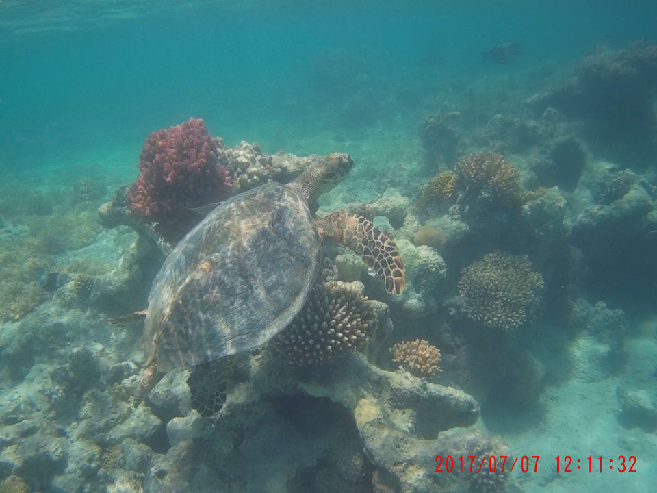 Sport & Freizeit Hotel Gorgonia Beach Resort