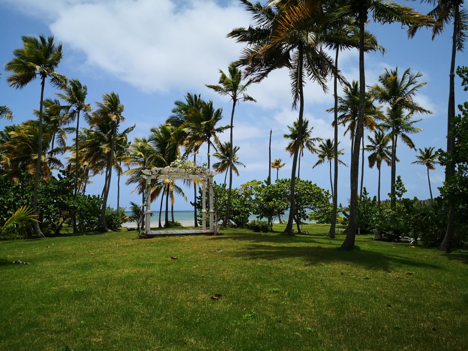 Gartenanlage Wyndham Alltra Samana