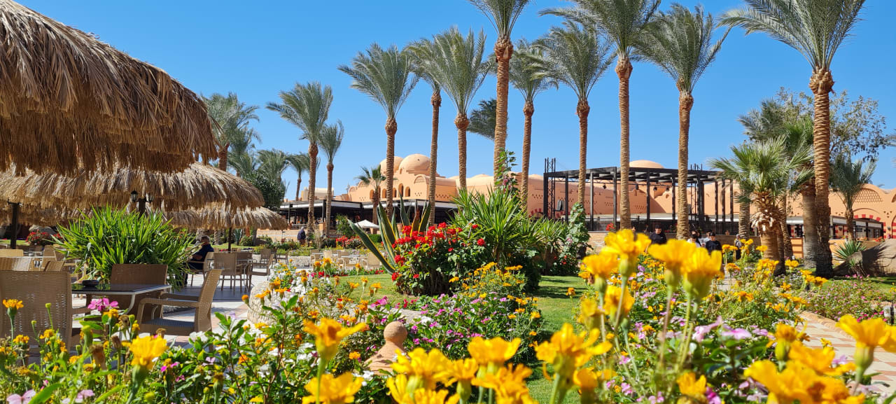 Gartenanlage Jaz Makadi Oasis Resort