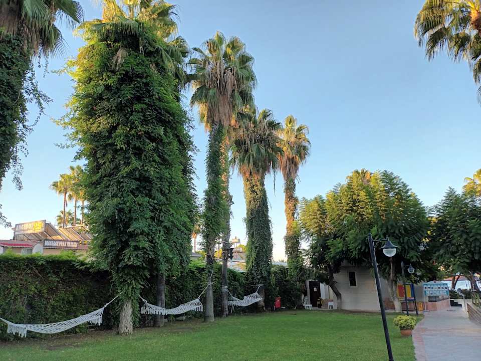 Gartenanlage Trendy Palm Beach (Adults Only, 16+)