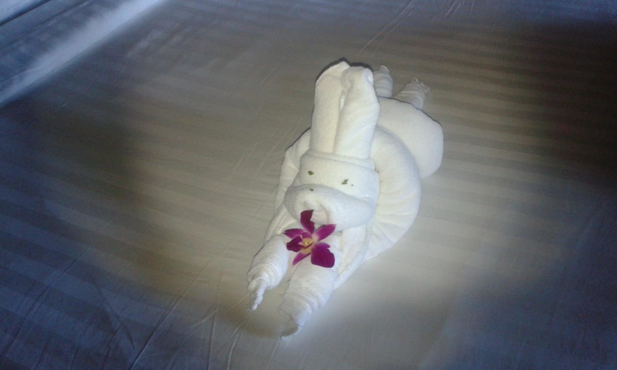 Betthase! Panviman Resort Koh Phangan