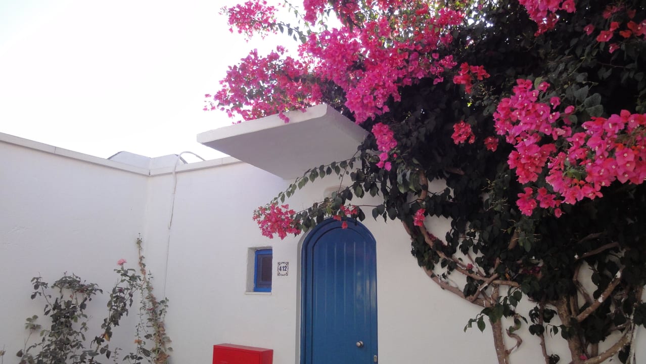 Bungalow TUI KIDS CLUB Alex Beach