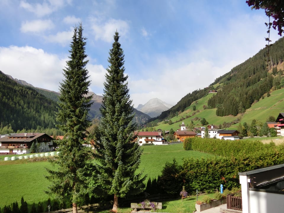 Ausblick Hotel Alpenhof