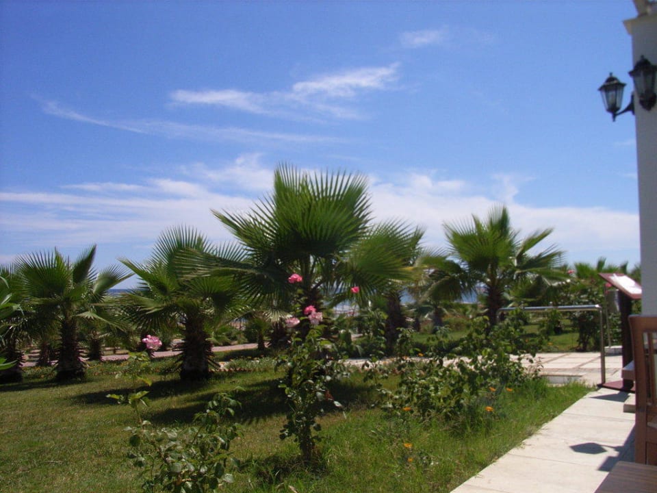 Blick von der Beach-Bar Hotel Süral Resort
