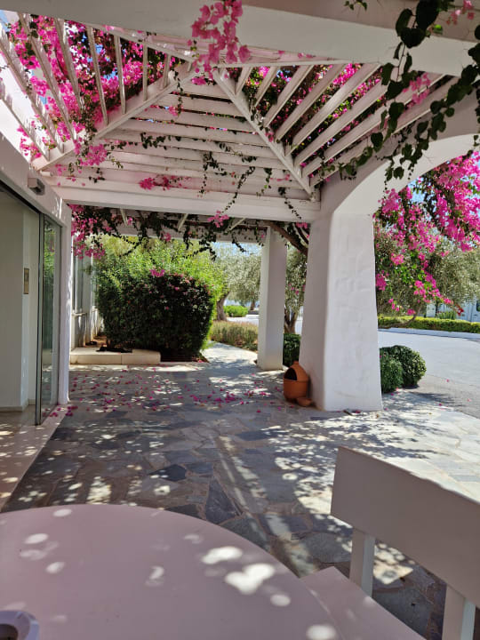 Lobby Knossos Beach Bungalows Suites Resort & Spa