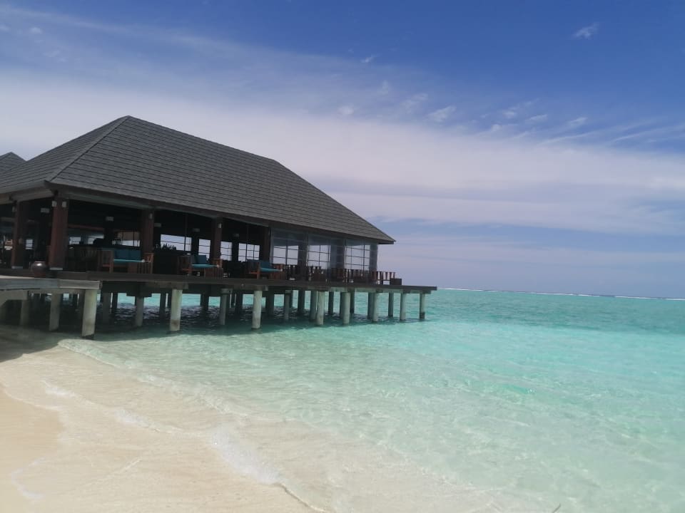 Gastro Summer Island Maldives