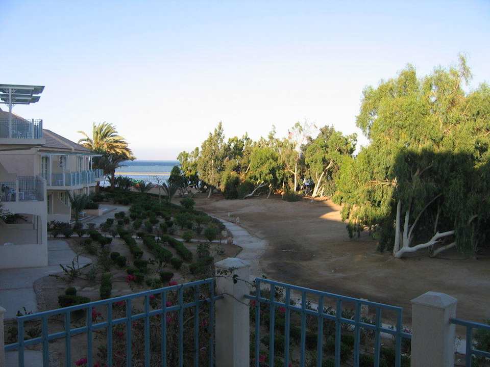 Blick vom Balkon Mövenpick Resort & Spa El Gouna