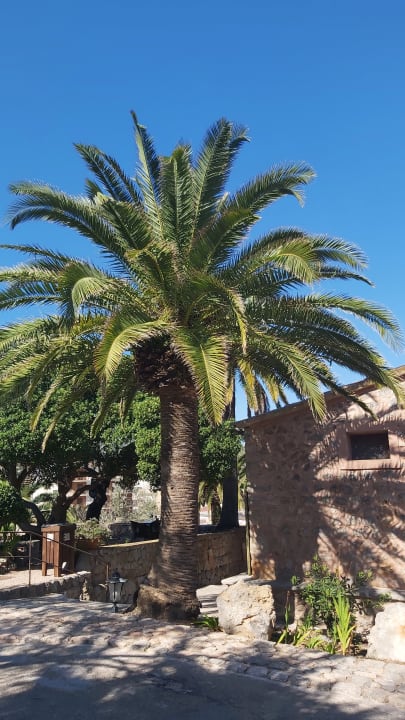 Außenansicht Hotel Es Port