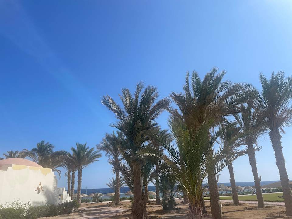 Außenansicht ONATTI Beach Resort - Marsa Alam