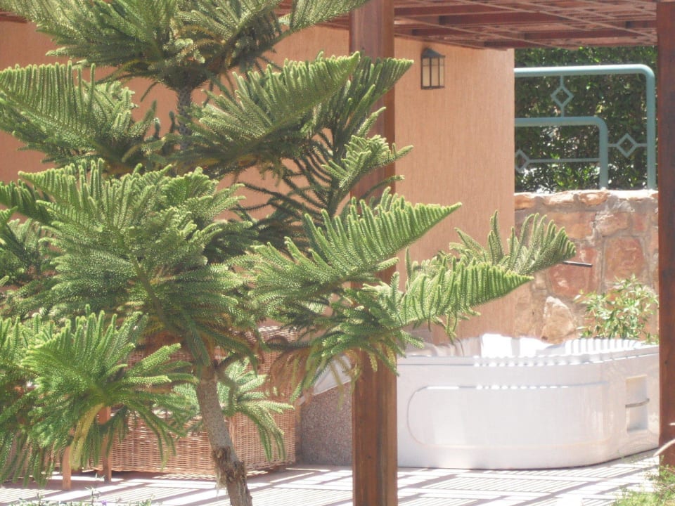 Sehr schicke Tanne Shams Prestige Abu Soma-Adults Only