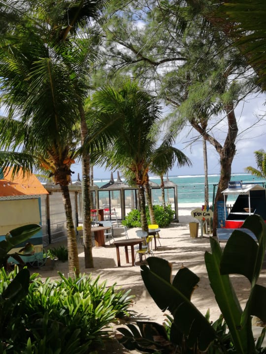 Gartenanlage Friday Attitude