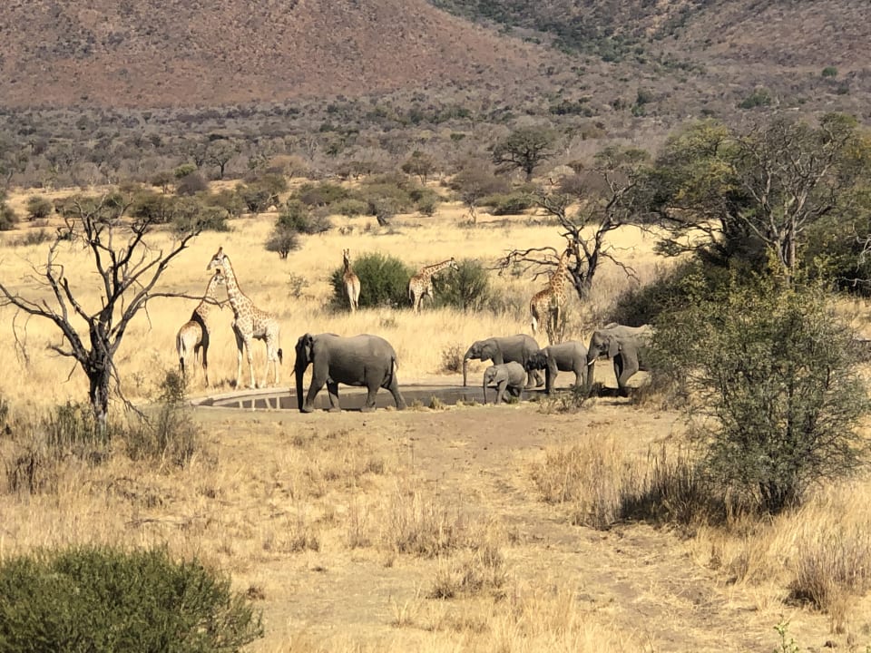 Ausblick Hotel Marataba