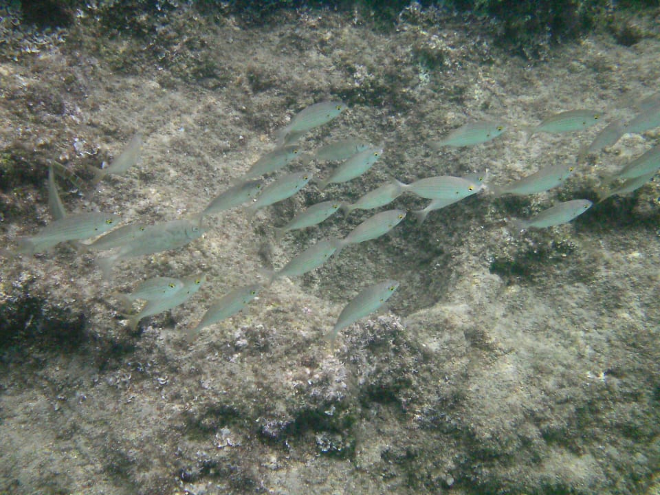 Strand High Beach Resort