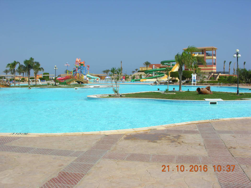 Widok na baseny Malikia Resort Abu Dabbab