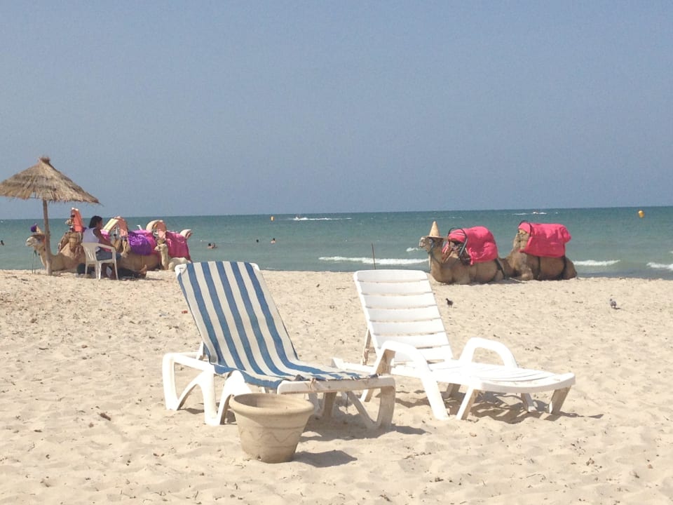 Kamele Djerba Sun Beach Hotel & Spa