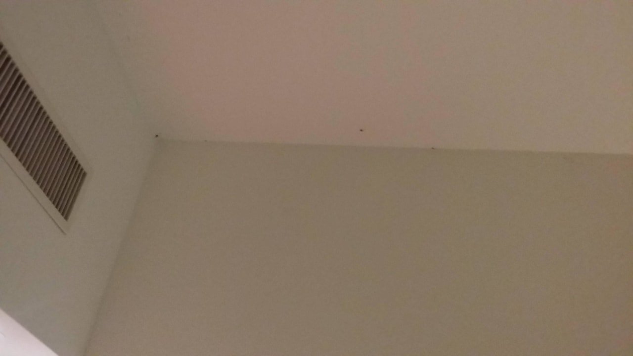 Zimmerdecke Hotel am Havelufer Potsdam