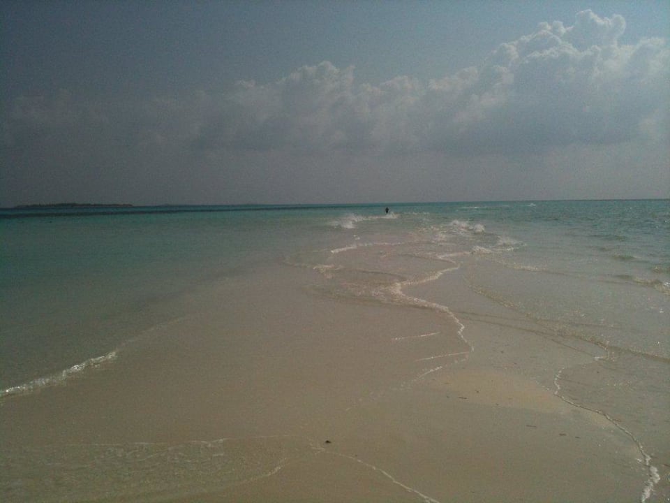 Der seichtabfallende Strandabschnitt Kuredu Island Resort & Spa