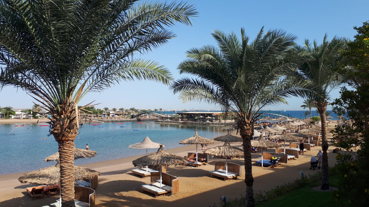 Ausblick Desert Rose