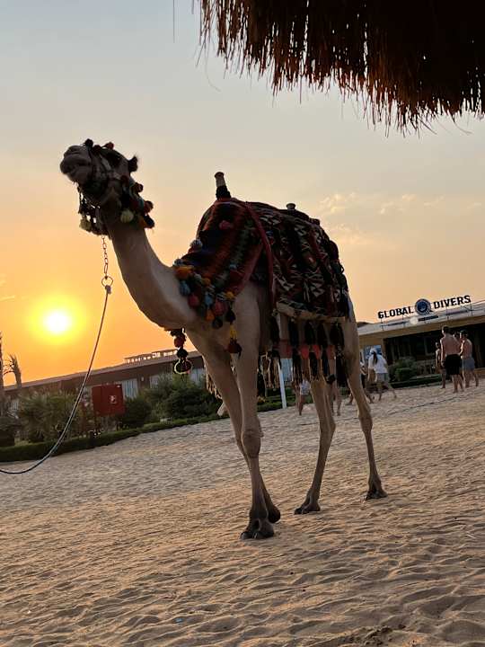 Strand SUNRISE Alora Aqua Park Resort