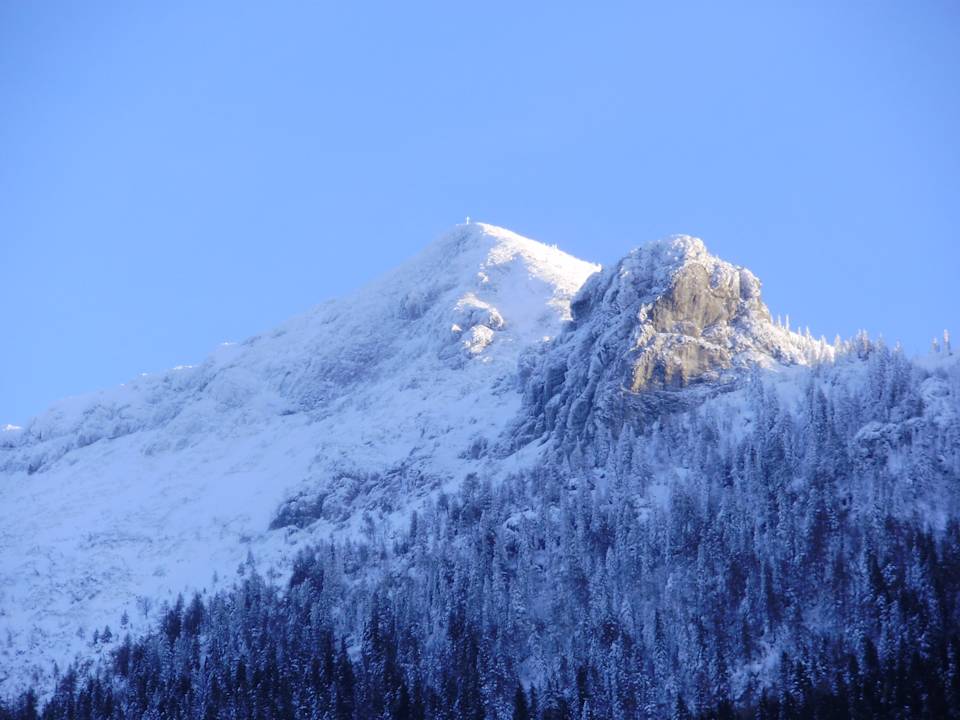 Ausblick Ferienwohnung Stöberl