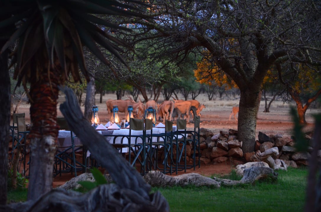 Gartenanlage Ohange Lodge