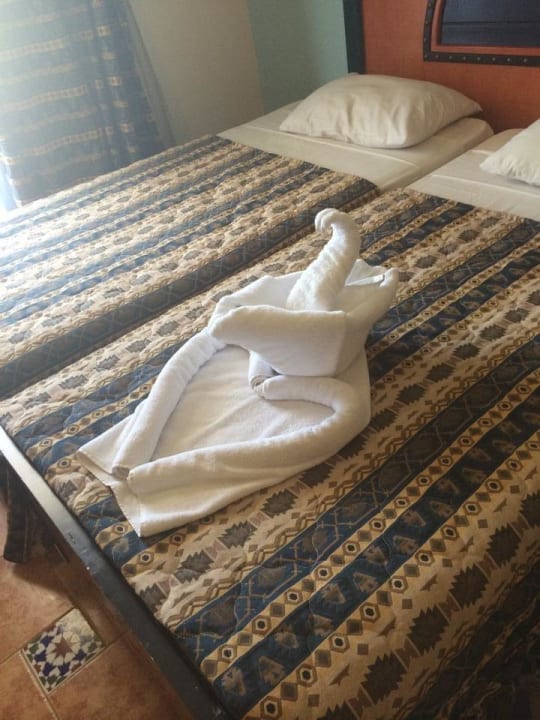 Niespodzianka Hotel Faraana Heights Resort