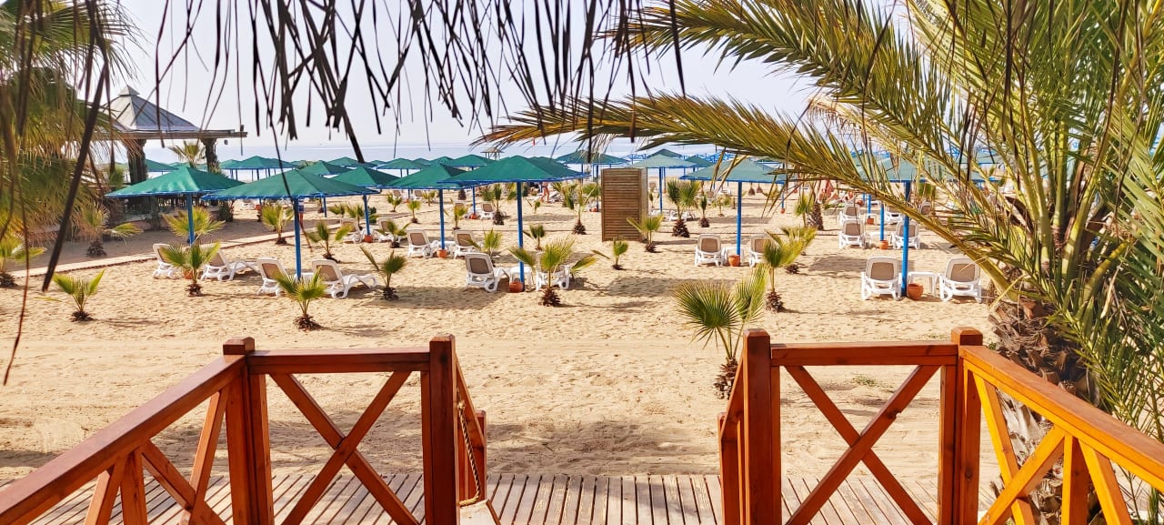 Strand Paloma Oceana