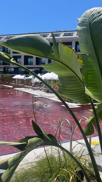 Pool The X Belek Hotel